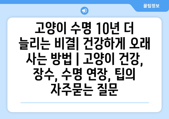 고양이 수명 10년 더 늘리는 비결| 건강하게 오래 사는 방법 | 고양이 건강, 장수, 수명 연장, 팁