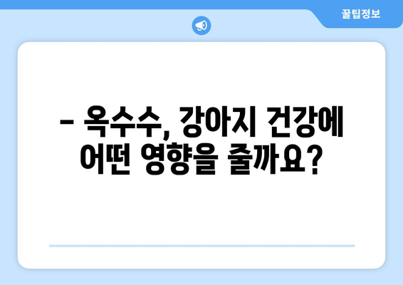 강아지 옥수수 급여, 안전하게 챙기는 방법| 주의사항 & 급여량 가이드 | 강아지 간식, 옥수수 영양, 반려견 건강