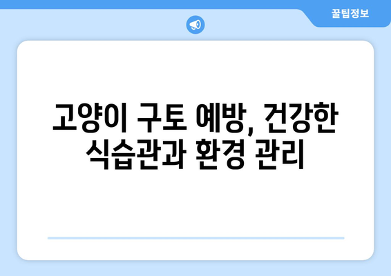 고양이 구토 색깔 해석| 위험 신호 파악하고 예방하세요! | 구토 원인, 증상, 응급처치, 건강 관리