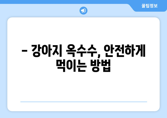 강아지 옥수수 급여, 안전하게 챙기는 방법| 주의사항 & 급여량 가이드 | 강아지 간식, 옥수수 영양, 반려견 건강