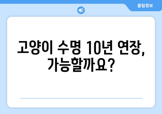 고양이 수명 10년 더 늘리는 비결| 건강하게 오래 사는 방법 | 고양이 건강, 장수, 수명 연장, 팁