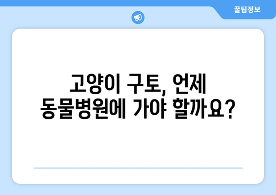 고양이 구토 색깔 해석| 위험 신호 파악하고 예방하세요! | 구토 원인, 증상, 응급처치, 건강 관리