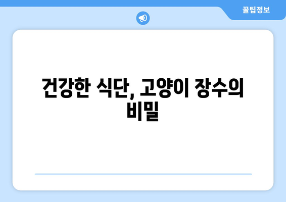 고양이 수명 10년 더 늘리는 비결| 건강하게 오래 사는 방법 | 고양이 건강, 장수, 수명 연장, 팁