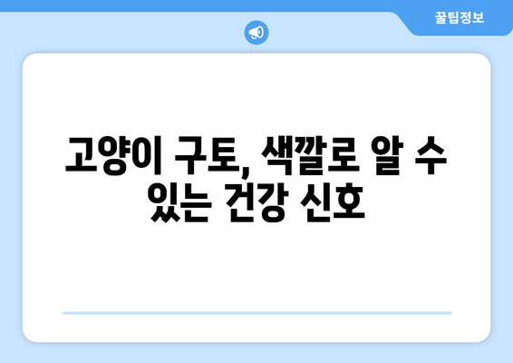 고양이 구토 색깔 해석| 위험 신호 파악하고 예방하세요! | 구토 원인, 증상, 응급처치, 건강 관리