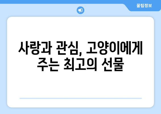 고양이 수명 10년 더 늘리는 비결| 건강하게 오래 사는 방법 | 고양이 건강, 장수, 수명 연장, 팁