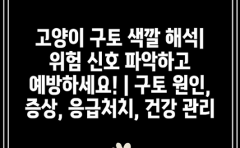 고양이 구토 색깔 해석| 위험 신호 파악하고 예방하세요! | 구토 원인, 증상, 응급처치, 건강 관리