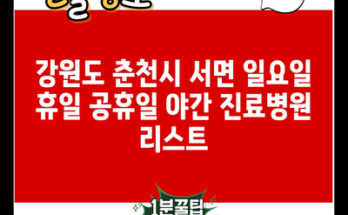 강원도 춘천시 서면 일요일 휴일 공휴일 야간 진료병원 리스트