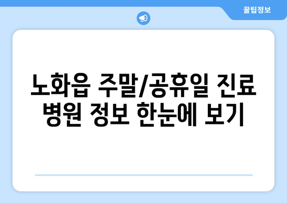 전라남도 완도군 노화읍 일요일 휴일 공휴일 야간 진료병원 리스트