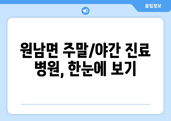 충청북도 음성군 원남면 일요일 휴일 공휴일 야간 진료병원 리스트