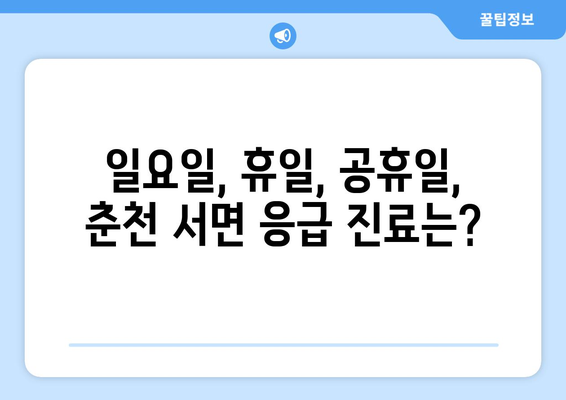 강원도 춘천시 서면 일요일 휴일 공휴일 야간 진료병원 리스트