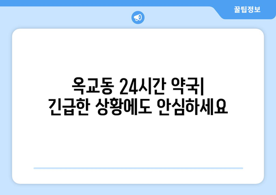 울산시 중구 옥교동 24시간 토요일 일요일 휴일 공휴일 야간 약국