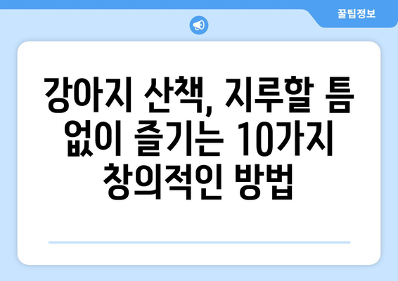 강아지 산책, 지루할 틈 없이 즐기는 10가지 창의적인 방법 | 강아지 산책, 훈련, 놀이, 운동