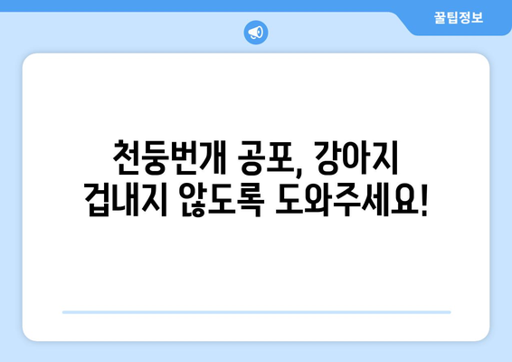 강아지 천둥번개 공포, 이제 그만! 🐶⚡️ 효과적인 해결 방법 5가지 | 천둥번개 공포, 강아지 행동 문제, 안전 관리, 진정 효과