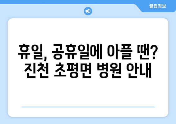 충청북도 진천군 초평면 일요일 휴일 공휴일 야간 진료병원 리스트