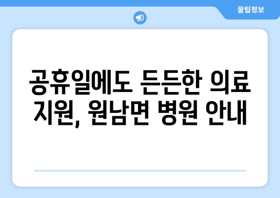 충청북도 음성군 원남면 일요일 휴일 공휴일 야간 진료병원 리스트