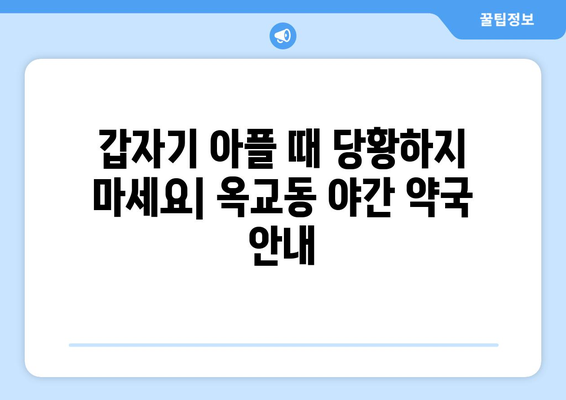 울산시 중구 옥교동 24시간 토요일 일요일 휴일 공휴일 야간 약국