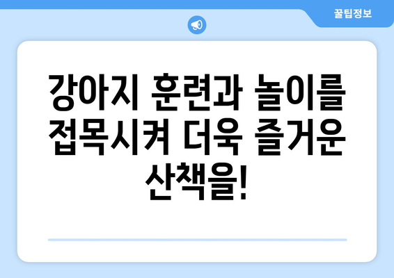 강아지 산책, 지루할 틈 없이 즐기는 10가지 창의적인 방법 | 강아지 산책, 훈련, 놀이, 운동