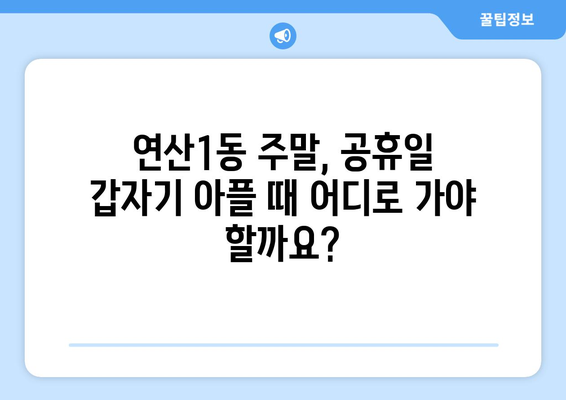 부산시 연제구 연산1동 일요일 휴일 공휴일 야간 진료병원 리스트