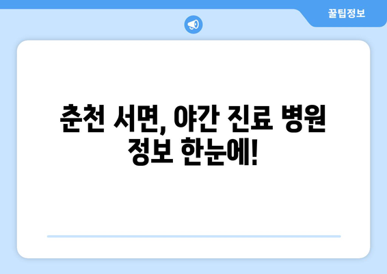 강원도 춘천시 서면 일요일 휴일 공휴일 야간 진료병원 리스트