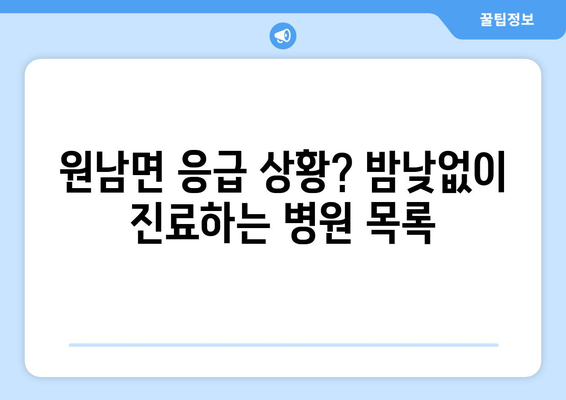 충청북도 음성군 원남면 일요일 휴일 공휴일 야간 진료병원 리스트