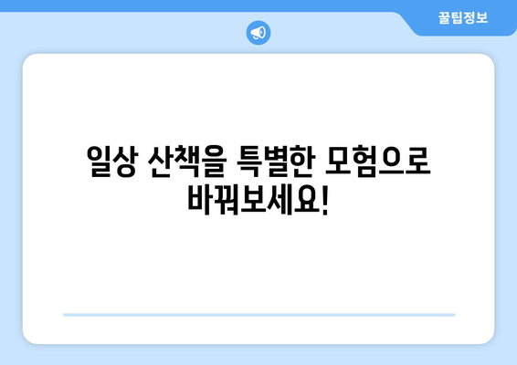 강아지 산책, 지루할 틈 없이 즐기는 10가지 창의적인 방법 | 강아지 산책, 훈련, 놀이, 운동