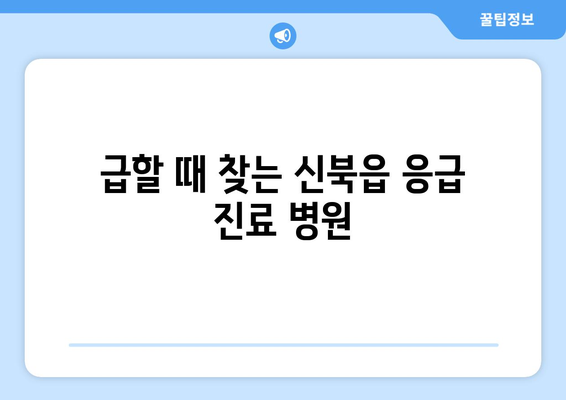 강원도 춘천시 신북읍 일요일 휴일 공휴일 야간 진료병원 리스트