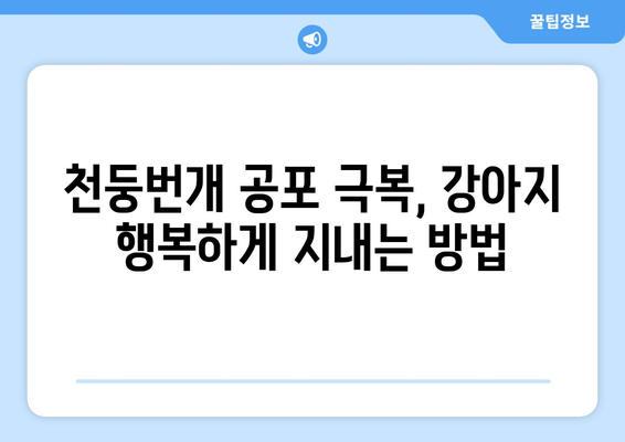 강아지 천둥번개 공포, 이제 그만! 🐶⚡️ 효과적인 해결 방법 5가지 | 천둥번개 공포, 강아지 행동 문제, 안전 관리, 진정 효과