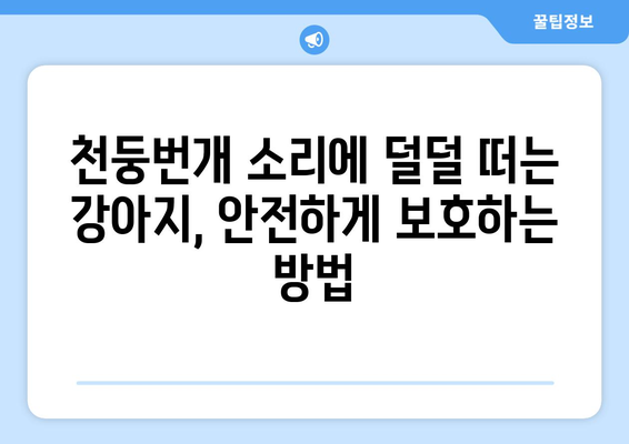 강아지 천둥번개 공포, 이제 그만! 🐶⚡️ 효과적인 해결 방법 5가지 | 천둥번개 공포, 강아지 행동 문제, 안전 관리, 진정 효과