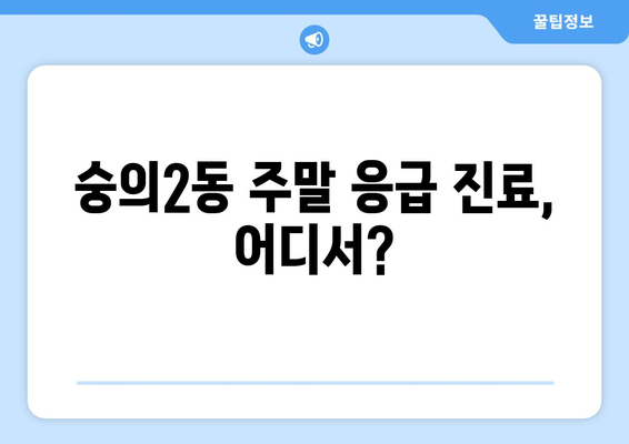 인천시 미추홀구 숭의2동 일요일 휴일 공휴일 야간 진료병원 리스트