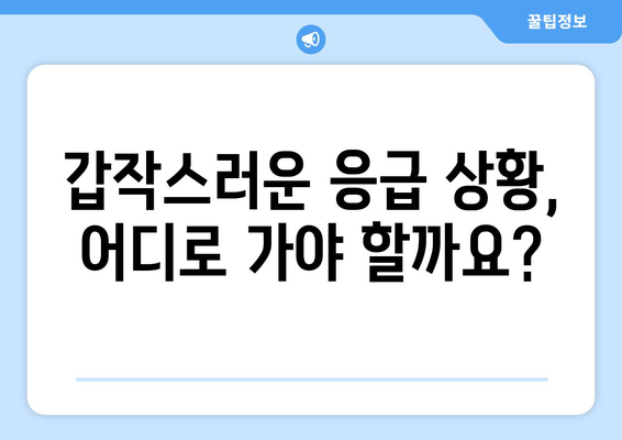 광주시 남구 봉선2동 일요일 휴일 공휴일 야간 진료병원 리스트