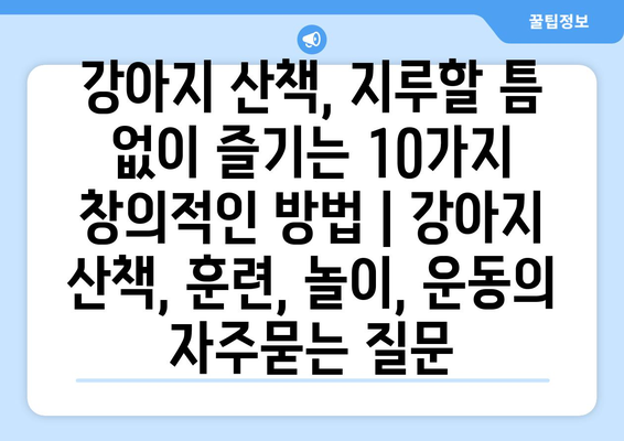 강아지 산책, 지루할 틈 없이 즐기는 10가지 창의적인 방법 | 강아지 산책, 훈련, 놀이, 운동