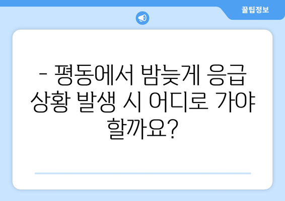 광주시 광산구 평동 일요일 휴일 공휴일 야간 진료병원 리스트