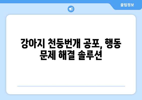 강아지 천둥번개 공포, 이제 그만! 🐶⚡️ 효과적인 해결 방법 5가지 | 천둥번개 공포, 강아지 행동 문제, 안전 관리, 진정 효과