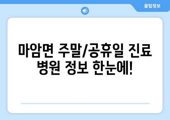 경상남도 고성군 마암면 일요일 휴일 공휴일 야간 진료병원 리스트