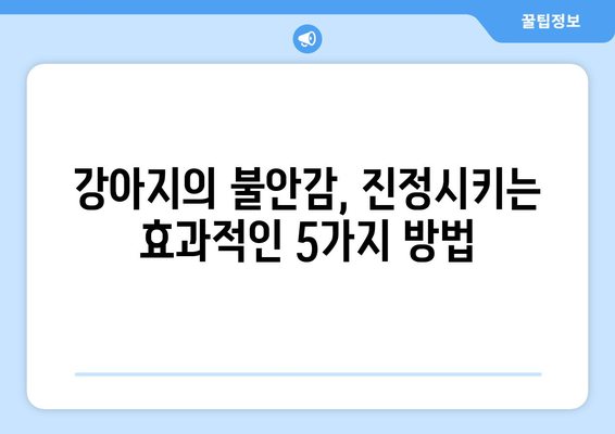 강아지 천둥번개 공포, 이제 그만! 🐶⚡️ 효과적인 해결 방법 5가지 | 천둥번개 공포, 강아지 행동 문제, 안전 관리, 진정 효과