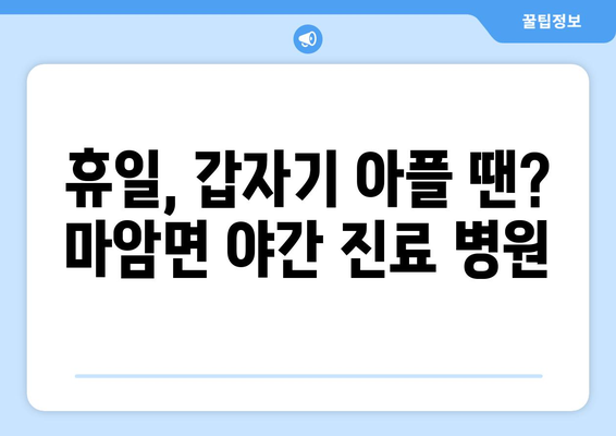 경상남도 고성군 마암면 일요일 휴일 공휴일 야간 진료병원 리스트