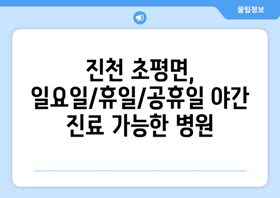 충청북도 진천군 초평면 일요일 휴일 공휴일 야간 진료병원 리스트