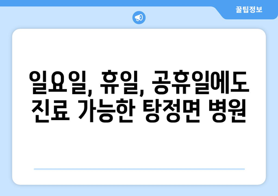 충청남도 아산시 탕정면 일요일 휴일 공휴일 야간 진료병원 리스트