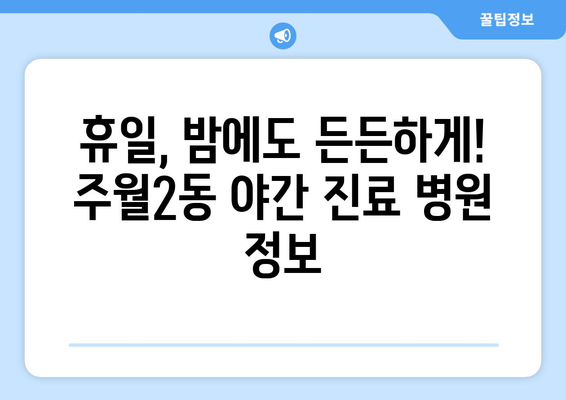 광주시 남구 주월2동 일요일 휴일 공휴일 야간 진료병원 리스트