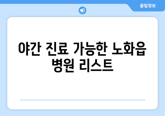 전라남도 완도군 노화읍 일요일 휴일 공휴일 야간 진료병원 리스트