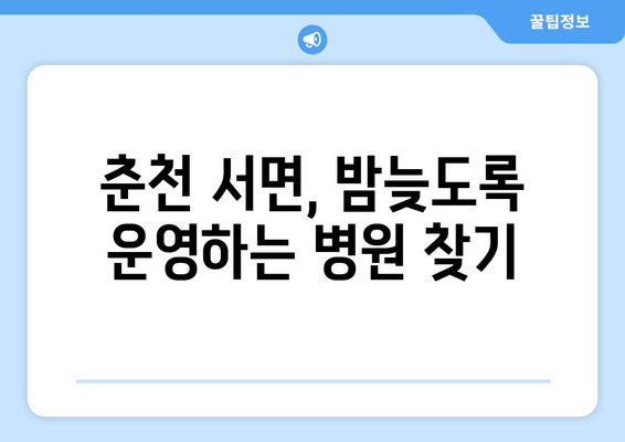 강원도 춘천시 서면 일요일 휴일 공휴일 야간 진료병원 리스트