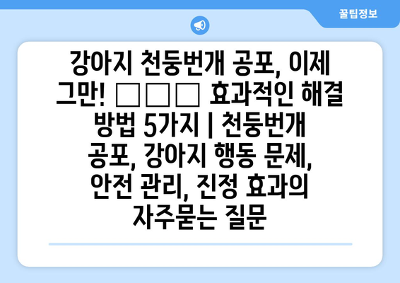 강아지 천둥번개 공포, 이제 그만! 🐶⚡️ 효과적인 해결 방법 5가지 | 천둥번개 공포, 강아지 행동 문제, 안전 관리, 진정 효과