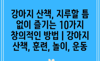 강아지 산책, 지루할 틈 없이 즐기는 10가지 창의적인 방법 | 강아지 산책, 훈련, 놀이, 운동