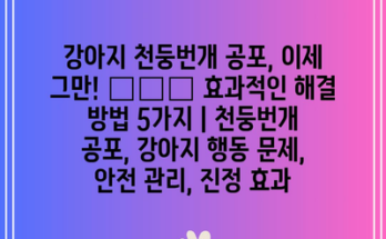 강아지 천둥번개 공포, 이제 그만! 🐶⚡️ 효과적인 해결 방법 5가지 | 천둥번개 공포, 강아지 행동 문제, 안전 관리, 진정 효과