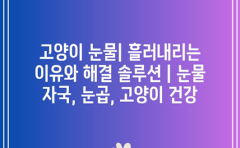 고양이 눈물| 흘러내리는 이유와 해결 솔루션 | 눈물 자국, 눈곱, 고양이 건강