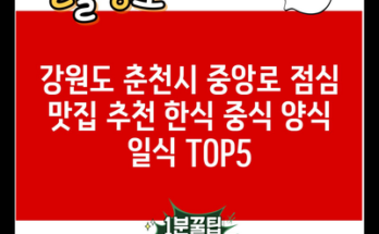 강원도 춘천시 중앙로 점심 맛집 추천 한식 중식 양식 일식 TOP5