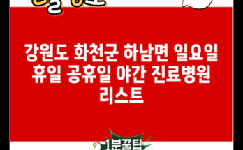 강원도 화천군 하남면 일요일 휴일 공휴일 야간 진료병원 리스트