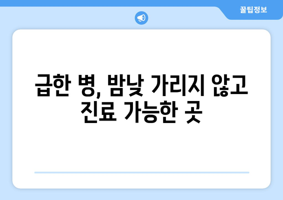 인천시 강화군 화도면 일요일 휴일 공휴일 야간 진료병원 리스트