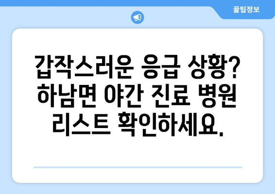 강원도 화천군 하남면 일요일 휴일 공휴일 야간 진료병원 리스트