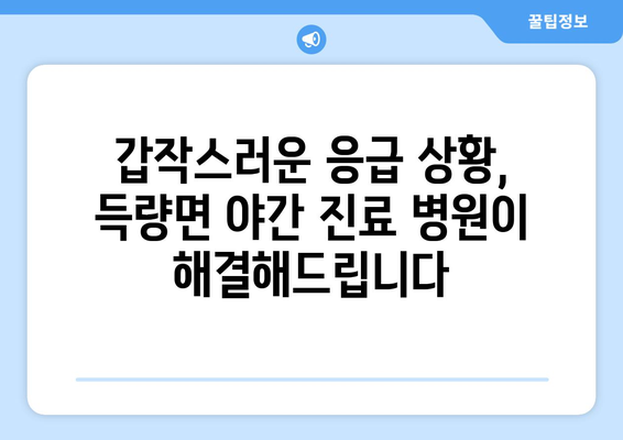 전라남도 보성군 득량면 일요일 휴일 공휴일 야간 진료병원 리스트